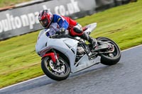 Oulton-Park-14th-March-2020;PJ-Motorsport-Photography-2020;anglesey;brands-hatch;cadwell-park;croft;donington-park;enduro-digital-images;event-digital-images;eventdigitalimages;mallory;no-limits;oulton-park;peter-wileman-photography;racing-digital-images;silverstone;snetterton;trackday-digital-images;trackday-photos;vmcc-banbury-run;welsh-2-day-enduro